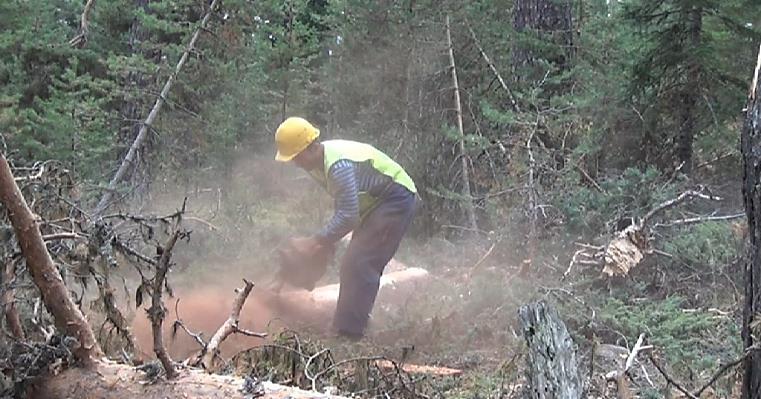 . Materyal Bu çalışmada Ankara Orman Bölge Müdürlüğüne Bağlı Beypazarı Orman İşletme Müdürlüğü Beypazarı, Eğriova ve Kapaklı Orman işletme Şefliklerindeki 203 yılı üretim faaliyetleri sırasında