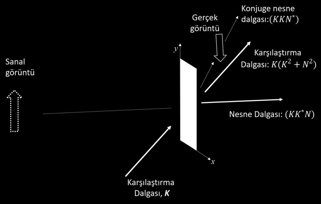 Şekil 1-5: Kaydedilmiş bir hologramdan görüntü oluşturma Görüntüsünü kaydetmek istediğiniz yerde bir ağaç olsun ve onun arkasında da bir kedi bulunsun. Ağaca cepheden baktığımızda kediyi göremeyiz.