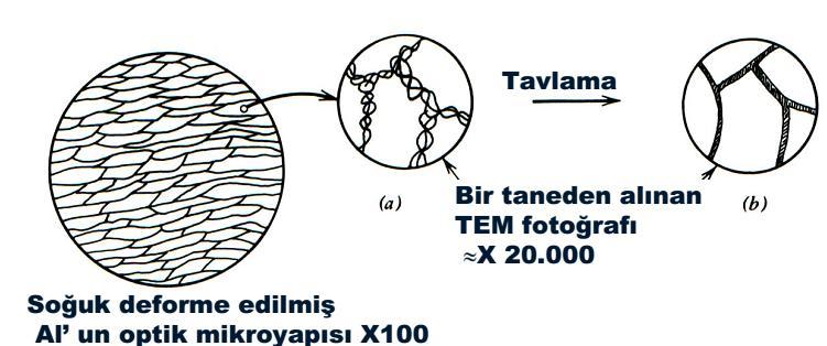 derecelik oryantasyon sapması gösterir ve 0.1-1 mm aralığındadır. Tavlama ile sınırlar keskinleşir, dislokasyon yoğunluğu hücre içinde azalır.