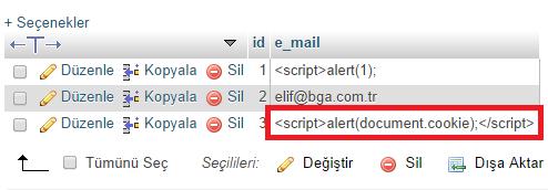 114 BGA BANK WEB GÜVENLIK TESTLERI UYGULAMA KITABı Şekil