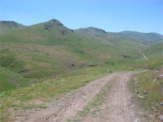 700 kg ağırlıkta ortalama bir at ise günde 30 40 km mesafede 100 150 kg taşıyabilmektedir.