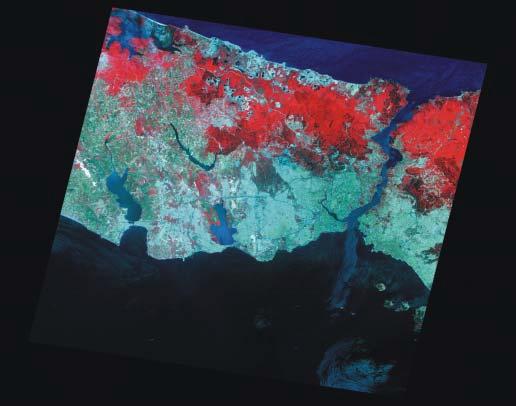 ASTER İstanbul ve Çevresinin False Color RGB 321