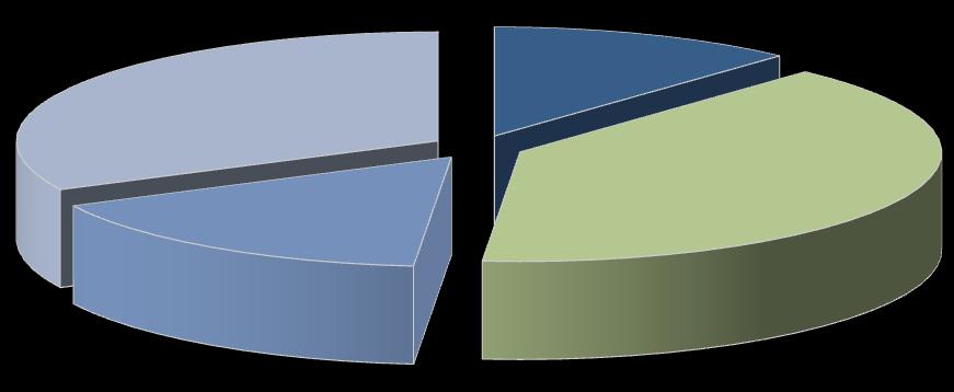 THY Döviz Dağılımı Diğer, 32% Gelirler (1Q 2009) Önemli