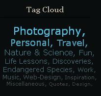 bulutlarında, görsel unsur olarak genellikle yazıyüzü boyutu ve renkler