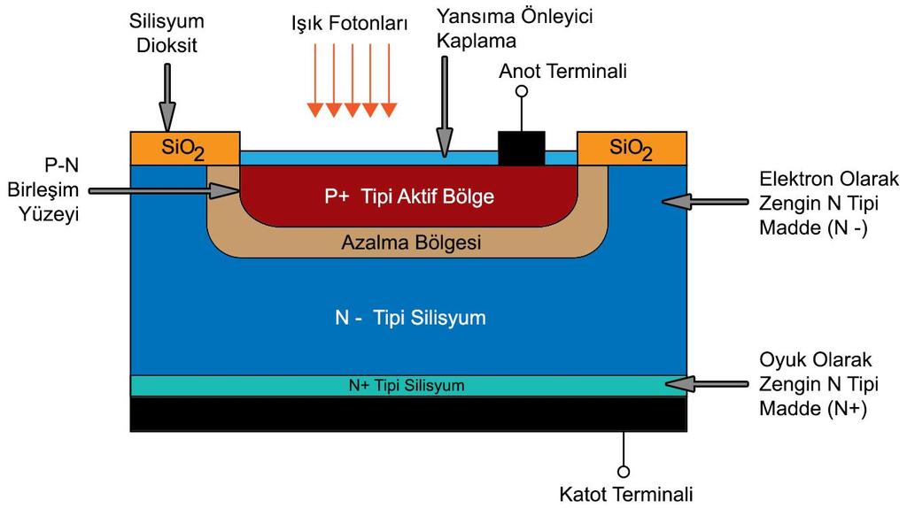 Foto Diyot un Çalışması 15 Foto Diyotun iç yapısı şekilde görülmektedir.