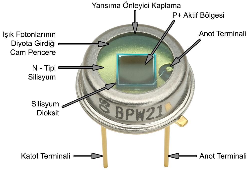 16 Foto Diyotun fiziksel yapısındaki kısımlar şekildeki gibidir.