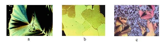 2). Bu yapı daha çok katı kristalinkine benzer bir özellik gösterir [Blinov, 2011]. Resim 2.2. Simektik A (a), Simektik B (b) ve Simektik C (c) fazlarına ait polarize mikroskop ile