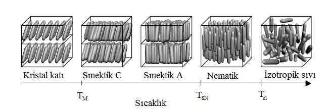 Çubuk biçimli sıvı kristal için sıcaklığa bağlı faz geçişleri [Cristaldi, 2009] Kolesterik sıvı kristaller Eğer malzemeye kolesterol esterler gibi kiral yapılı bileşikler eklenirse nematik faz,