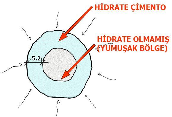 ÇİMENTONUN ÖZELLİKLERİ Özgül Ağırlık Ağırlığın dolu hacme oranı olarak ifade edilen özgül ağırlık, bileşiminde mineral katkılar kullanılan çimentolarda 2,95-3,05 g/cm 3 civarında iken, katkısız