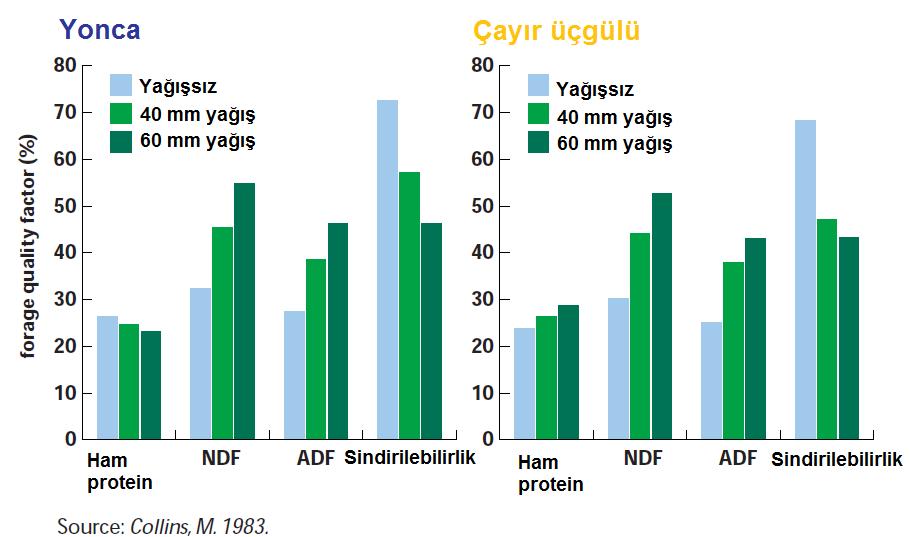 Hasat ve depolama koşulları: Biçilen otun tarlada kurutulması sırasında yaprakların dökülmesi, bitki solunumu ve yağmur nedeniyle, özellikle baklagillerde, önemli kalite