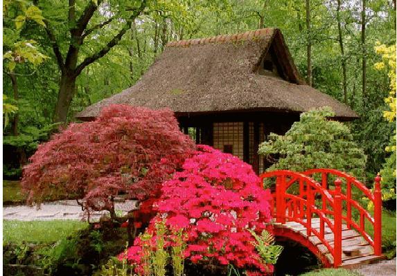 Çiçek düzenleme sanatı (ikebana) ile minyatür ağaç yetiştirme sanatı