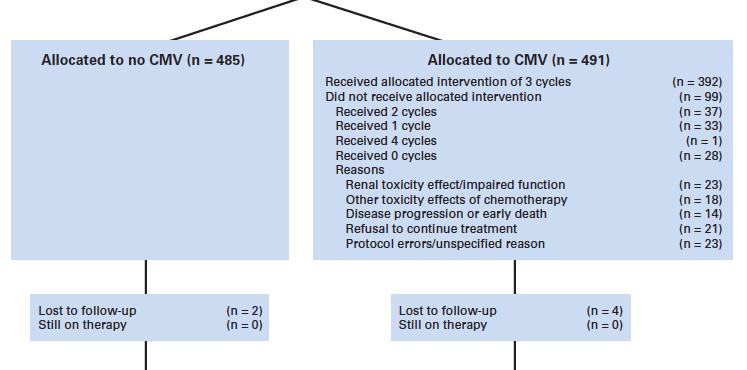 International Phase III Trial Assessing Neoadjuvant CMV Chemotherapy for Muscle-Invasive