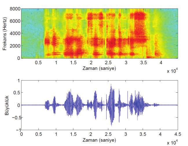 Fakat, tekrar çalınan kaydın spektrumu ayrıntılı bir şekilde incelendiğinde, özellikle düşük frekanslardaki formantların belirginliğini kaybettiği gözlenmektedir.