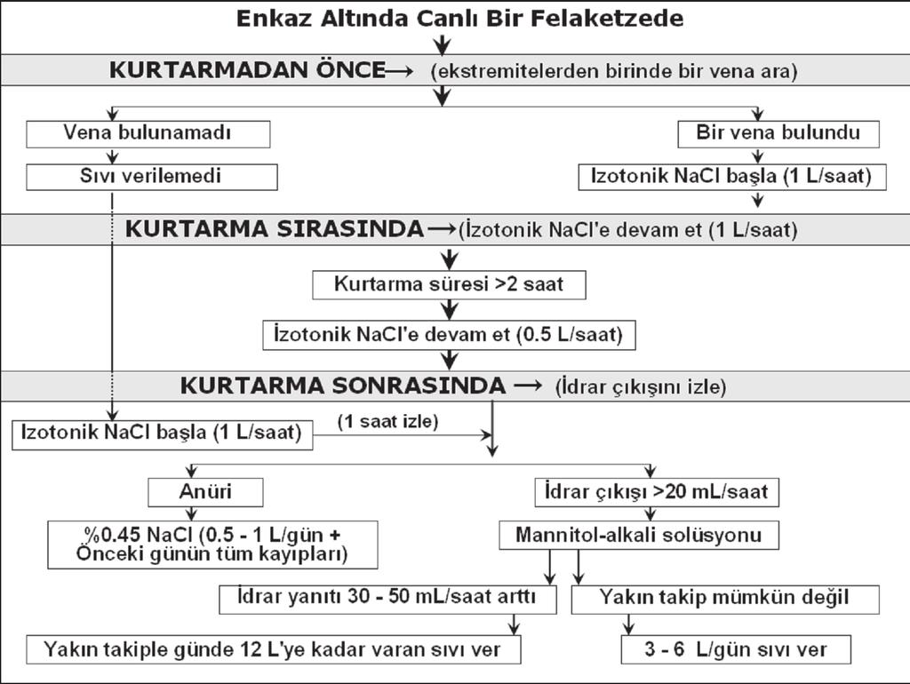 Şekil 2.