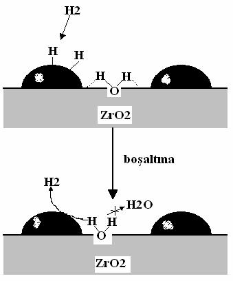 64 hidrojen ile indirgenmiş katalizörlerde, prob molekül olarak CO in kullanıldığı FTIR çalışmasında, Co ile ilişkili farklı adsorpsiyon siteleri elde edilmiştir.
