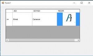 C# DataGridView e Resim Ekleme C# Datagridview kontrolüne dinamik olarak sütunlar ekleyip bu sütunlara ait özelliklerin nasıl ayarlanabileceğini vedatagridview kontrolünde istenilen bir sütunaresim