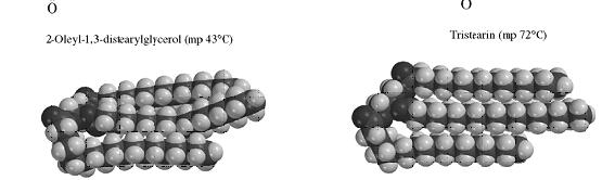 İki Tipik Triaçilgliserolün yapısı Fosfolipitler Yapısal olarak triaçilgliserollere benzeyen lipitlerin ikinci bir sınıfı fosfolipitlerdir.