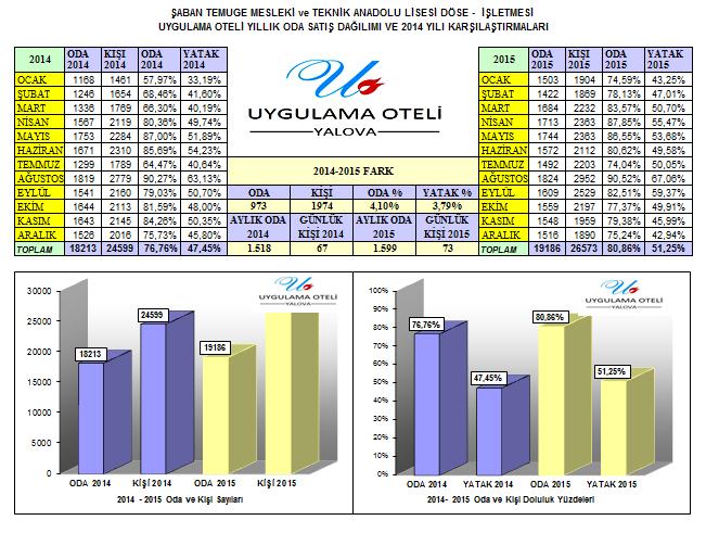 2015 yılı