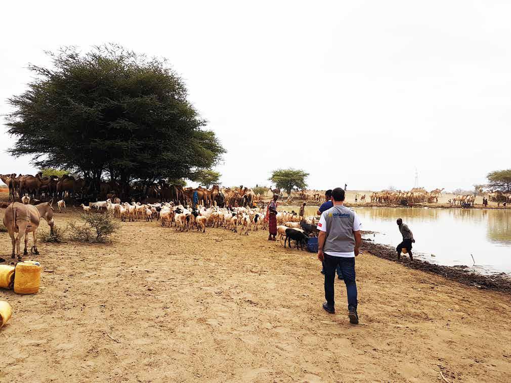 SADAKATAŞI KENYA FAALİYETLERİ KENYA Ülke ismi Kenya Dağı'ndan gelmektedir. Bantu dillerinden bir tanesi olan Kikuyu dilinden gelenkere-nyaga kelimesi Beyaz Dağ anlamına gelmektedir.