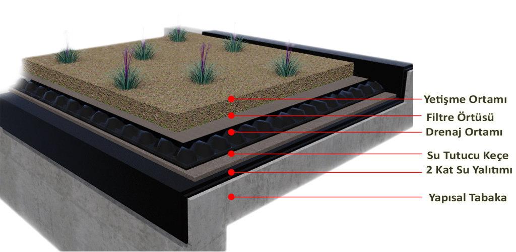 Çatı Bahçelerinde Bitkilendirme Tipleri Ve