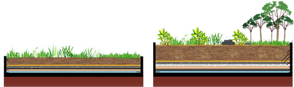 Bitkilendirme Tipleri Ekstensif(Ekstansif) Az yoğun basit altyapı az bakım kuraklık/strese dayanıklı bikiler sığ yetiştirme ortamları (2-15 cm) düşük ağırlık yükü (5-15 cm yetişme ortamı için 68-170