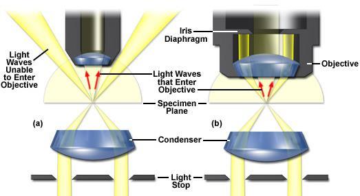Kondansatör: Bir mikroskopta kondansatörün esas görevi ışığı obje üzerinde toplamak ve yeterince aydınlatmaktır.