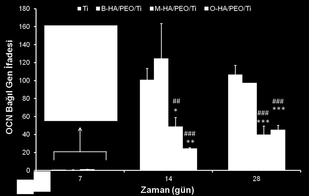 Osteokalsin, osteoblastlar tarafından sentezlenen, farklılaşmanın geç dönemlerinde ortaya çıkan, non-kollajenöz proteindir.