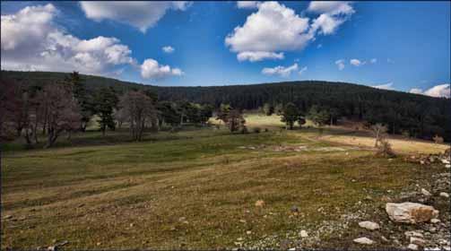 Kırsal Turizm Yayla