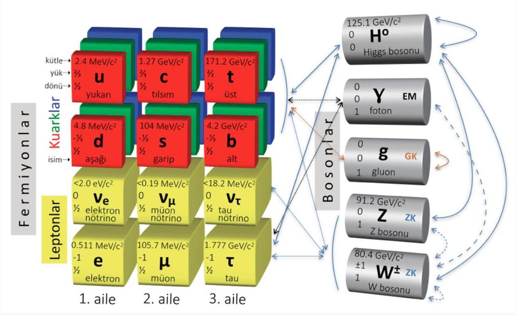 STANDART MODEL temel parçacıklar ve etkileşimler hakkındaki bütün bilgimizi içeren bir kuramlar bütünüdür. Madde parçacıkları Etkileşim aracıları Her kuarktan 3 renk.