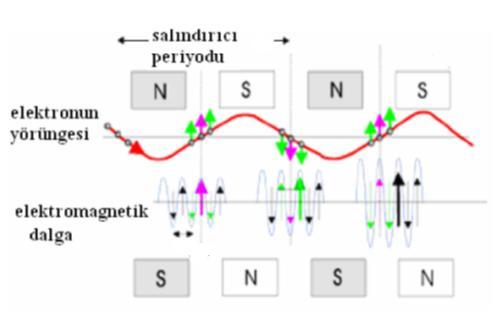 edilmiştir (Şekil 2.1). Serbest elektron lazeri de dördüncü nesil ışınım kaynakları arasında yer alır.