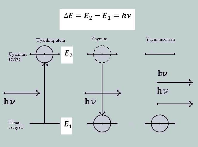 Şekil 2.3 Uyarılmış ışınım 2.2.2 Maserin keşfi Uyarılmış ışınımın ilk denemesi mikrodalga bölgesinde yapılmıştır ve bu sayede MASER keşfedilmiştir.