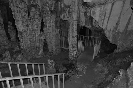 sütun, duvar ve perde damlataşları ile kaplıdır. Bu ana galeri, büyük ve dik bir yamaçla mağaranın üçüncü bölümüne bağlanmaktadır (Nazik vd., 2001; Şekil 6). Foto 8 Foto 9 Foto 8.