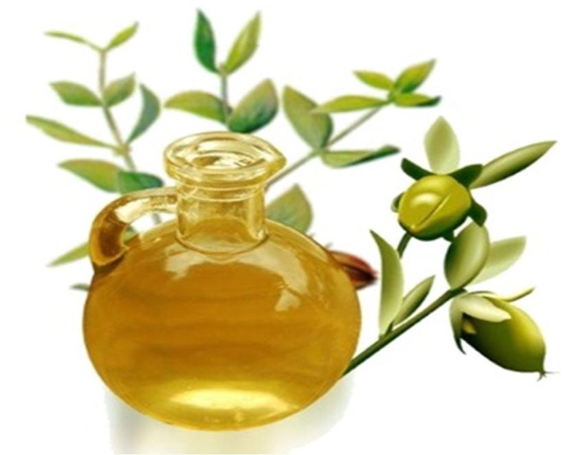 17 gösterir ve ayrıca yumuşatıcı özelliği vardır. Bu yüzden, jojoba yağı kozmetik yağ materyallarinin en önemlisidir.