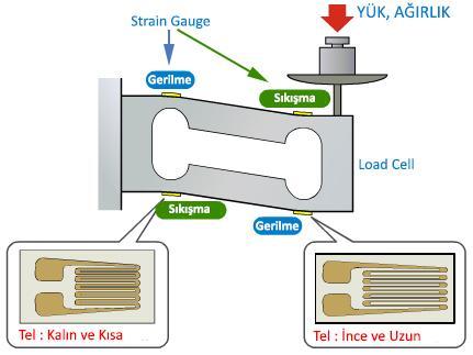 33 Load Cell e yük veya ağırlık uygulandığı zaman, Strain Gauge sensörleri şekillerdeki gibi değişikliğe maruz kalırlar.