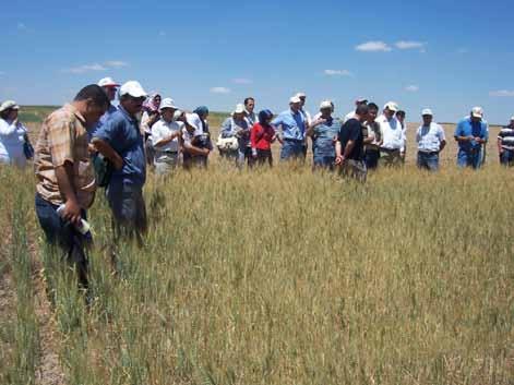 Tohumluk satışını artırma yönünde görüntülü ve yazılı iletişim organlarının kullanılması ile önder çiftçilerin ve borsaların görüş ve önerilerinin çiftçilere aktarılmasına gayret edilmelidir.