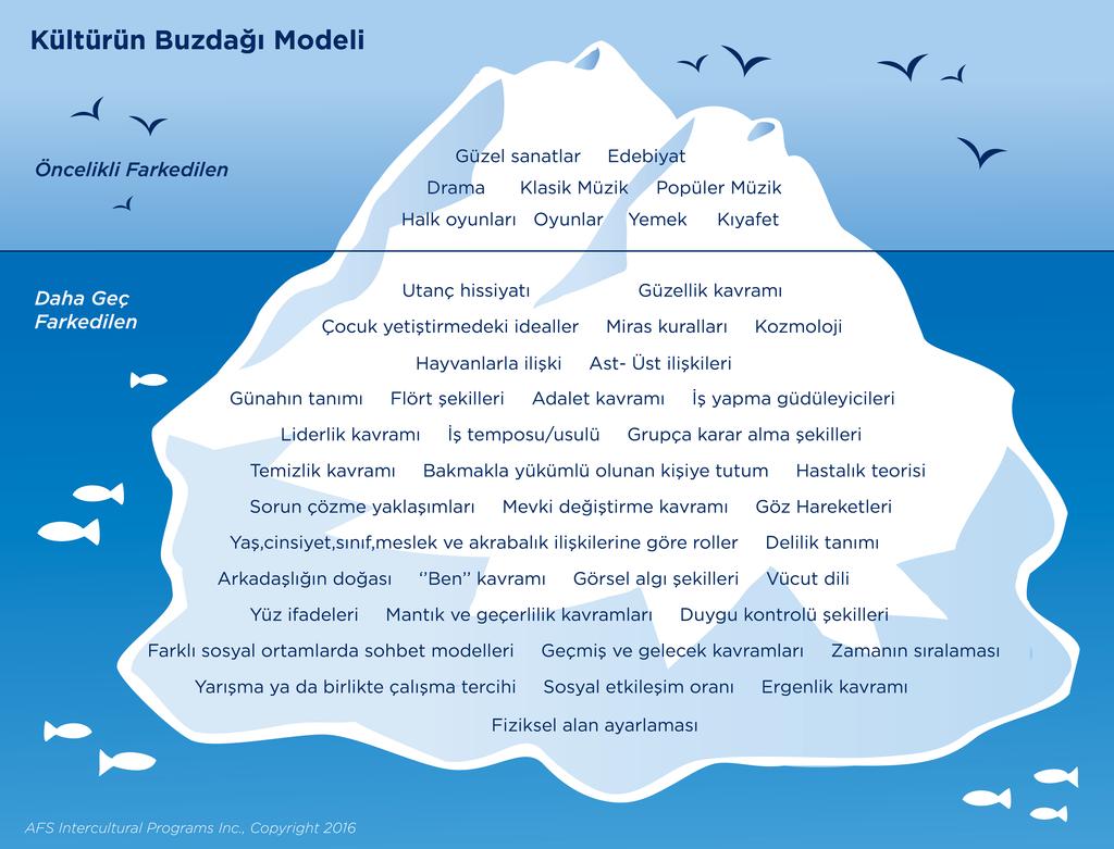 KÜLTÜR MODELLERİ AFS, kültürü tasvir etmekte yardımcı üç ana model kullanmaktadır: Buzdağı Modeli, Soğan Modeli ve Ağaç Modeli.