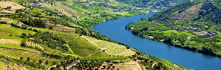 19 Mayıs - Cuma Porto Douro Nehri Vadisi - Guarda Sabah kahvaltısından sonra Porto dan ayrılış ve Minho bölgesinin en güzel şehirlerinden biri olan Amarante şehrine doğru yolculuk.