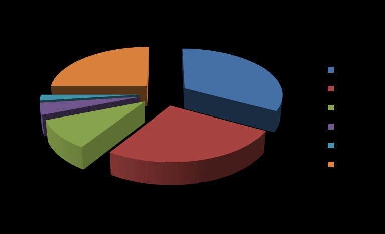 Türkiye de turizm Yabancı ziyaretçi dağılımı Bölgesel dağılım Yabancı ziyaretçilerin %15 ini Almanlar, %11 ini Ruslar ve %8 ini da İngilizler oluşturmaktadır.