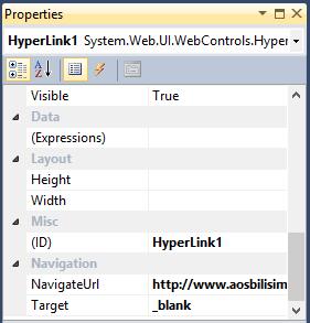 HyperLink HTML deki <a href= >.</a> etiketine benzer şekilde,bir hedef sayfaya yönlendirme köprü oluşturmak (link vermek) amacıyla kullanılır.