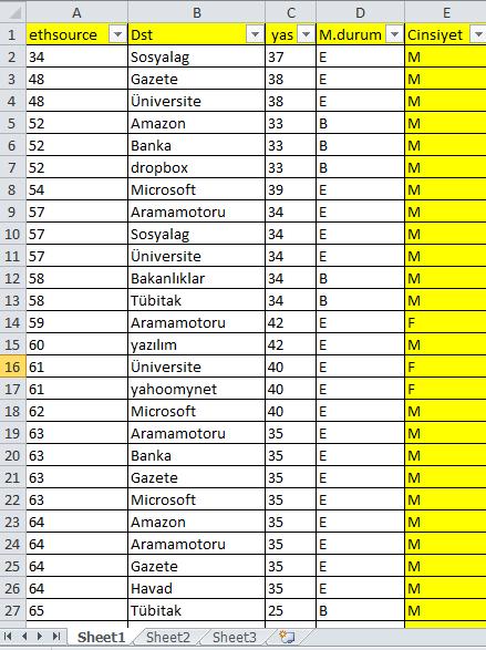 47 Sonuçlara bakıldığında için sınıf etiketi cinsiyet olarak belirlenmiştir. Algoritma ilk başta ethsource a göre yaş, medeni durum ve girilen siteye göre ayırma işlemini gerçekleştirmiştir.