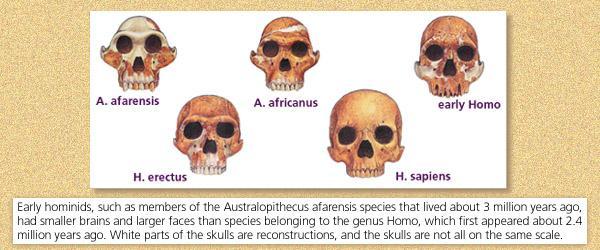 Konu 4: Üst Paleolitik ve Epipaleolitik Dönem Günümüzden yaklaşık 40 bin ilâ 12 bin yıl önceki dönemdir. Bu dönemde Homo sapiensler yaşamıştır.