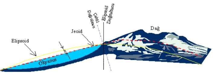 Yeryüzü Şekli O nceleri düz bir yüzey olarak kabul edilen yeryüzu şeklinin sonraları Geoid biçiminde olduğu araştırmalar sonuçunda belirlenmiştir.