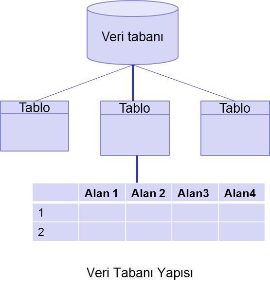 Veri Tabanı