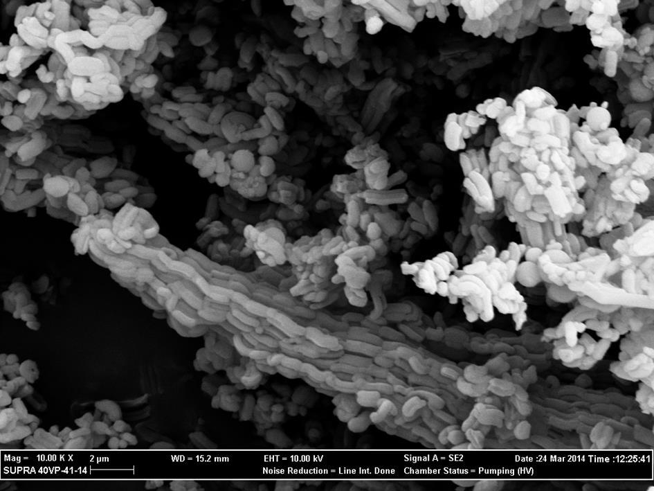 reaksiyonu sonrası SEM görüntüsü (20 kx- 433K; 3/3/1). Resim 8.