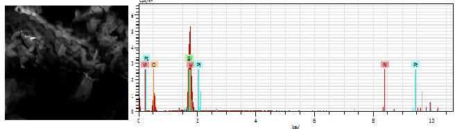 EK-2. (devam) STA/MCM-41 (W/Si: %0,625-5) ve STA/SBA-15 (W/Si: %1,25-10) katalizörleri ile etil asetat reaksiyonu sonrası elde edilen SEM görüntüleri ve EDX analiz sonuçları.