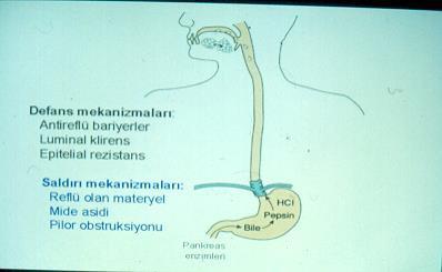 Defans mekanizmaları: Antireflü bariyerler Luminal klirens Epitelial rezistans Saldırı