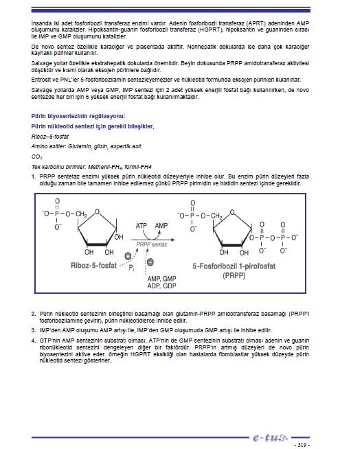 38.De novo pürin nükleotidlerinin sentezi için aşağıdakilerden hangisi yanlıştır? A) Glutamin analogları, sentezi inhibe eder. B) Riboz-5-fosfat yapıya en son katılır.