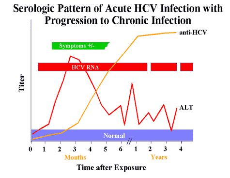 İyileşme ile sonuçlanan akut enfeksiyon HCV