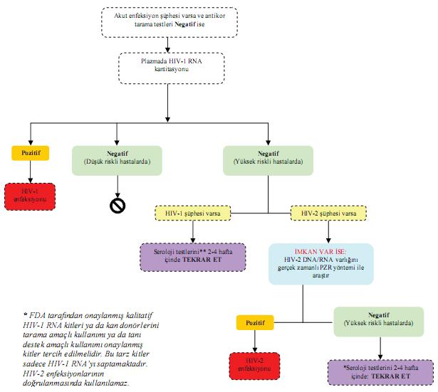 Akut HIV enfeksiyonu kuşkusunda,