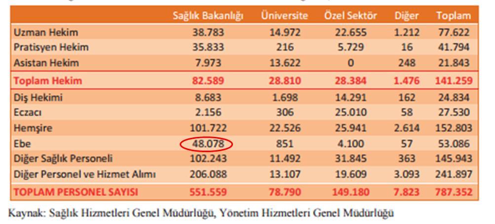 İstihdam Edildiği Yere Göre Sağlık Bakanlığı Personel Sayıları- Ebe Sayısı Türkiye nin kendi içinde ebe ve hemşire dağılımı da dengeli değildir.